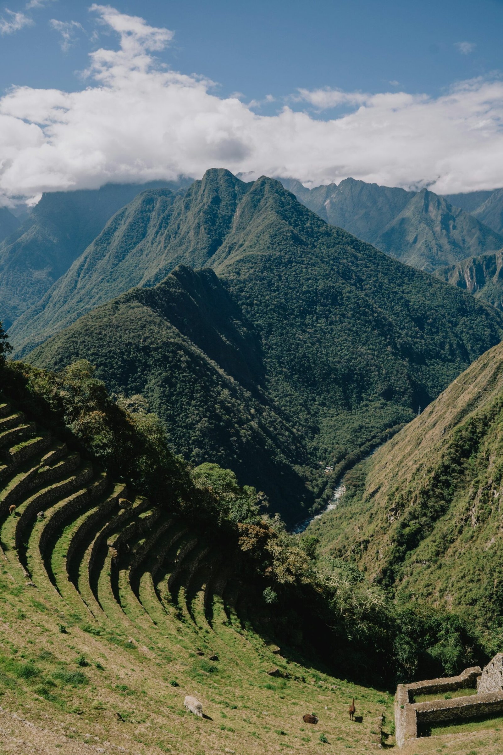 Impresionantes terrazas agrícolas incas escalonadas en la ladera de una montaña con vista panorámica del Valle Sagrado, sus picos verdes y profundos valles bajo un cielo azul